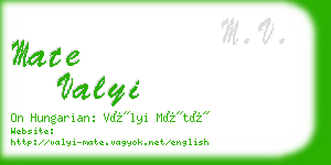 mate valyi business card